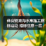 彝良骑龙沟水库施工招标启动 招标信息一览（图3）