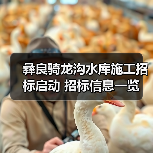 彝良骑龙沟水库施工招标启动 招标信息一览（图4）