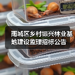 雨城区乡村振兴林业基地建设监理招标公告（图3）