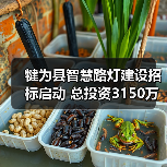 犍为县智慧路灯建设招标启动 总投资3150万元(图2) 犍为县智慧路灯建设招标启动 总投资3150万元(图2)