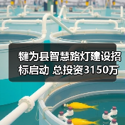 犍为县智慧路灯建设招标启动 总投资3150万元(图4) 犍为县智慧路灯建设招标启动 总投资3150万元(图4)