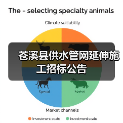 苍溪县供水管网延伸施工招标公告(图4) 苍溪县供水管网延伸施工招标公告(图4)