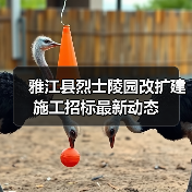 雅江县烈士陵园改扩建施工招标最新动态（图2）