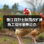 雅江县烈士陵园改扩建施工招标最新动态（图3）