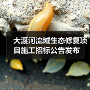 大渡河流域生态修复项目施工招标公告发布（图2）