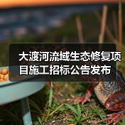 大渡河流域生态修复项目施工招标公告发布（图1）