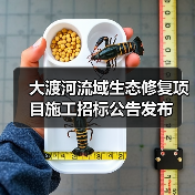 大渡河流域生态修复项目施工招标公告发布（图3）