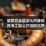 富顺县基层派出所维修改造工程公开招标信息(图2) 富顺县基层派出所维修改造工程公开招标信息(图2)