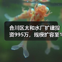 合川区太和水厂扩建投资995万，规模扩容至14000m³/d（图2）