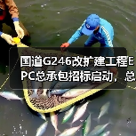国道G246改扩建工程EPC总承包招标启动,总投资15.24亿(图2) 国道G246改扩建工程EPC总承包招标启动,总投资15.24亿(图2)