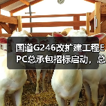 国道G246改扩建工程EPC总承包招标启动,总投资15.24亿(图1) 国道G246改扩建工程EPC总承包招标启动,总投资15.24亿(图1)