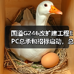 国道G246改扩建工程EPC总承包招标启动,总投资15.24亿(图4) 国道G246改扩建工程EPC总承包招标启动,总投资15.24亿(图4)