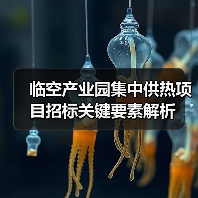 临空产业园集中供热项目招标关键要素解析（图4）