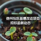 儋州院区基建改造项目招标最新动态（图1）