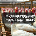 昌化镇咸田村美丽渔村二期施工招标:重点项目清单曝光(图1) 昌化镇咸田村美丽渔村二期施工招标:重点项目清单曝光(图1)
