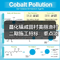 昌化镇咸田村美丽渔村二期施工招标:重点项目清单曝光(图4) 昌化镇咸田村美丽渔村二期施工招标:重点项目清单曝光(图4)