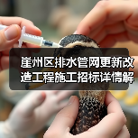 崖州区排水管网更新改造工程施工招标详情解析(图4) 崖州区排水管网更新改造工程施工招标详情解析(图4)