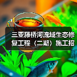 三亚藤桥河流域生态修复工程(二期)施工招标最新动态(图3) 三亚藤桥河流域生态修复工程(二期)施工招标最新动态(图3)