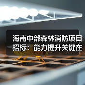 海南中部森林消防项目招标：能力提升关键在哪？（图1）