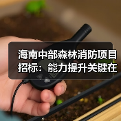 海南中部森林消防项目招标：能力提升关键在哪？（图2）