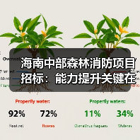 海南中部森林消防项目招标：能力提升关键在哪？（图4）