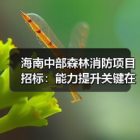 海南中部森林消防项目招标：能力提升关键在哪？（图3）