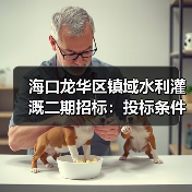 海口龙华区镇域水利灌溉二期招标：投标条件与流程解析（图1）