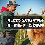 海口龙华区镇域水利灌溉二期招标：投标条件与流程解析（图2）