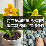 海口龙华区镇域水利灌溉二期招标：投标条件与流程解析（图3）
