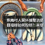 东南村人居环境整治项目招标如何投标?关键资质与资金来源解析(图1) 东南村人居环境整治项目招标如何投标?关键资质与资金来源解析(图1)