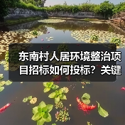 东南村人居环境整治项目招标如何投标?关键资质与资金来源解析(图3) 东南村人居环境整治项目招标如何投标?关键资质与资金来源解析(图3)