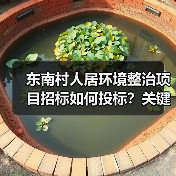 东南村人居环境整治项目招标如何投标?关键资质与资金来源解析(图4) 东南村人居环境整治项目招标如何投标?关键资质与资金来源解析(图4)