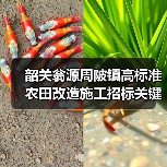 韶关翁源周陂镇高标准农田改造施工招标关键信息（图1）
