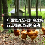 广西北流至化州高速先行工程监理招标启动(图2) 广西北流至化州高速先行工程监理招标启动(图2)