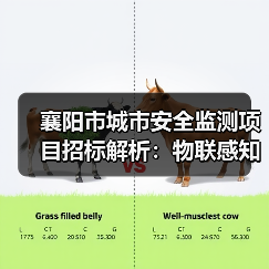 襄阳市城市安全监测项目招标解析:物联感知系统建设全攻略(图1) 襄阳市城市安全监测项目招标解析:物联感知系统建设全攻略(图1)