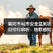 襄阳市城市安全监测项目招标解析:物联感知系统建设全攻略(图3) 襄阳市城市安全监测项目招标解析:物联感知系统建设全攻略(图3)