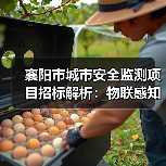 襄阳市城市安全监测项目招标解析:物联感知系统建设全攻略(图4) 襄阳市城市安全监测项目招标解析:物联感知系统建设全攻略(图4)