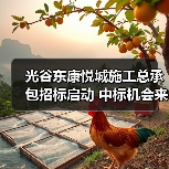 光谷东康悦城施工总承包招标启动 中标机会来了（图2）