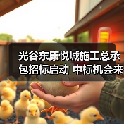 光谷东康悦城施工总承包招标启动 中标机会来了（图4）