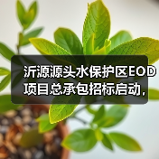 沂源源头水保护区EOD项目总承包招标启动,生态修复与产业开发如何共促发展?(图2) 沂源源头水保护区EOD项目总承包招标启动,生态修复与产业开发如何共促发展?(图2)