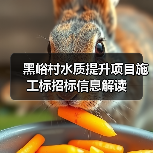 黑峪村水质提升项目施工标招标信息解读（图2）