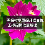 黑峪村水质提升项目施工标招标信息解读（图1）