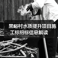 黑峪村水质提升项目施工标招标信息解读（图3）