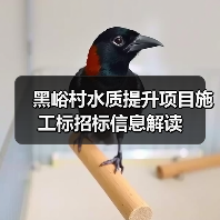 黑峪村水质提升项目施工标招标信息解读（图4）
