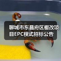 聊城市东昌府区棚改项目EPC模式招标公告（图3）