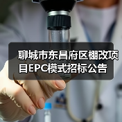 聊城市东昌府区棚改项目EPC模式招标公告（图4）