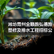 潍坊青州金顺路弘德路整修及排水工程招标公告（图3）