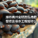 潍坊青州金顺路弘德路整修及排水工程招标公告（图4）