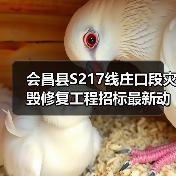 会昌县S217线庄口段灾毁修复工程招标最新动态(图4) 会昌县S217线庄口段灾毁修复工程招标最新动态(图4)