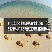 广丰区桐畈镇廿四厂道路养护修复工程招标中标机会解析(图2) 广丰区桐畈镇廿四厂道路养护修复工程招标中标机会解析(图2)